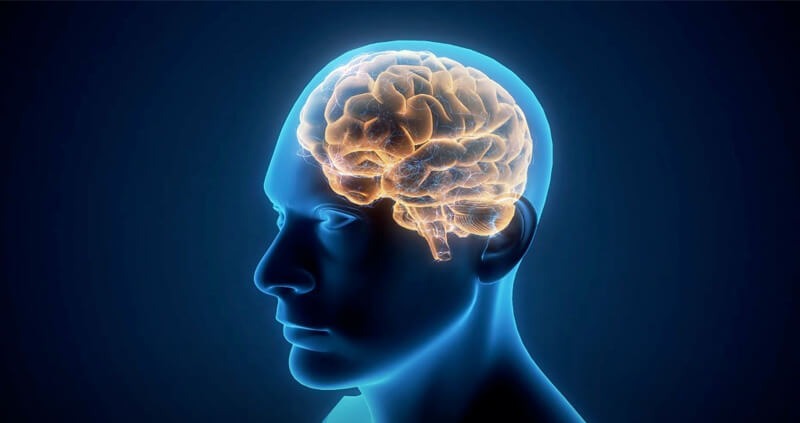 6-mental-disorder-illness-healthyplace (1)